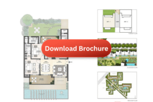 download broucher (11)
