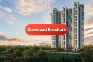 download broucher (5)